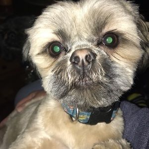 Meet your Posher, Chelie